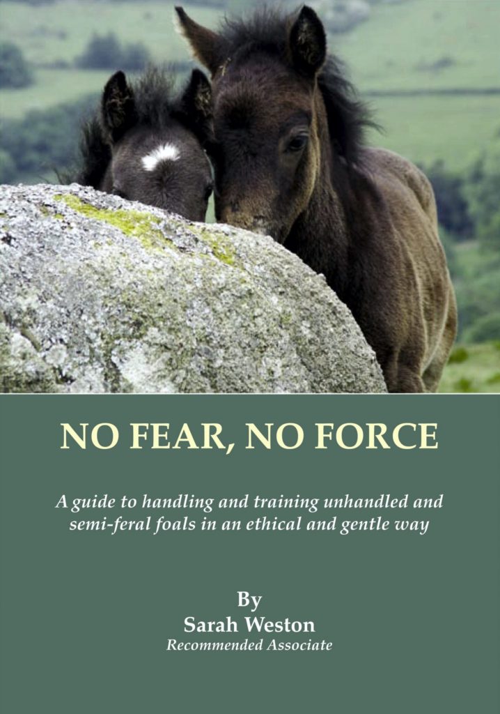 No Fear, No Force by Sarah Weston
